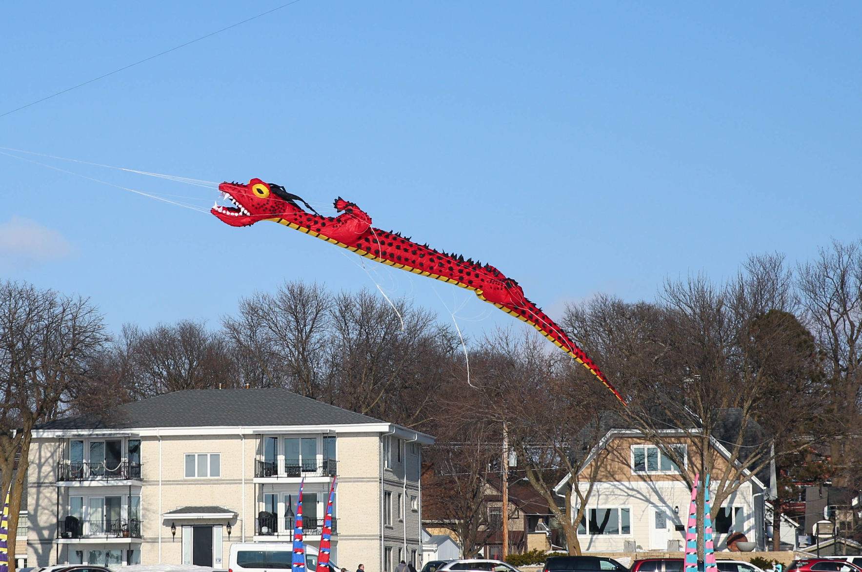 Color the Wind kite festival 02-15-2020 (11).jpg